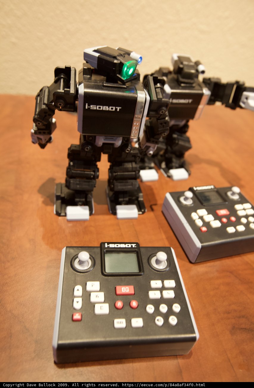 Playful Robots in Hardwood Flooring