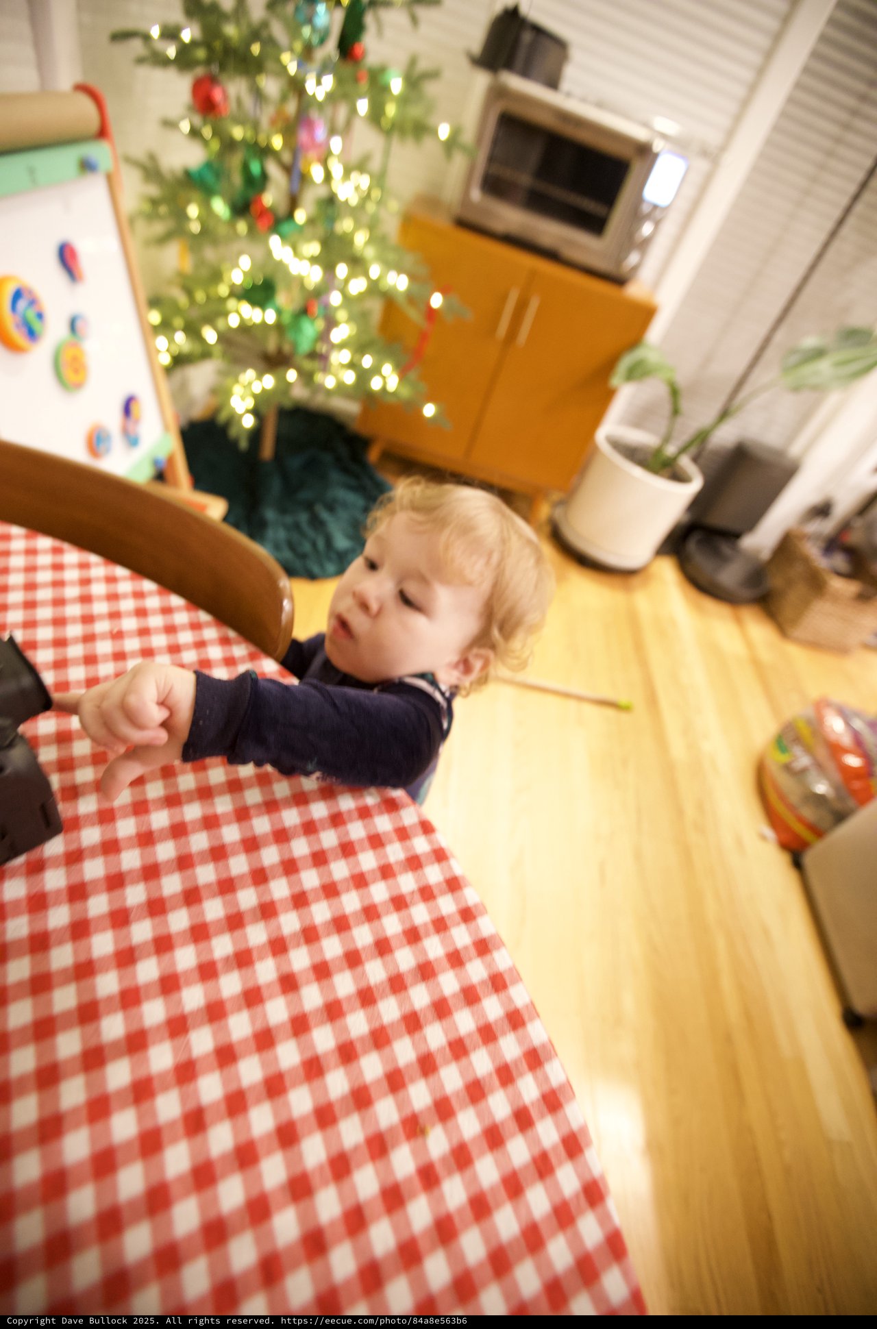 Toddler Helping Set Christmas Table in Kitchen
