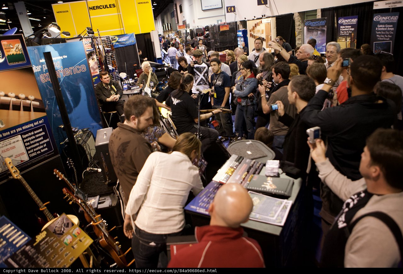 The Bustling Crowd at NAMM 2008