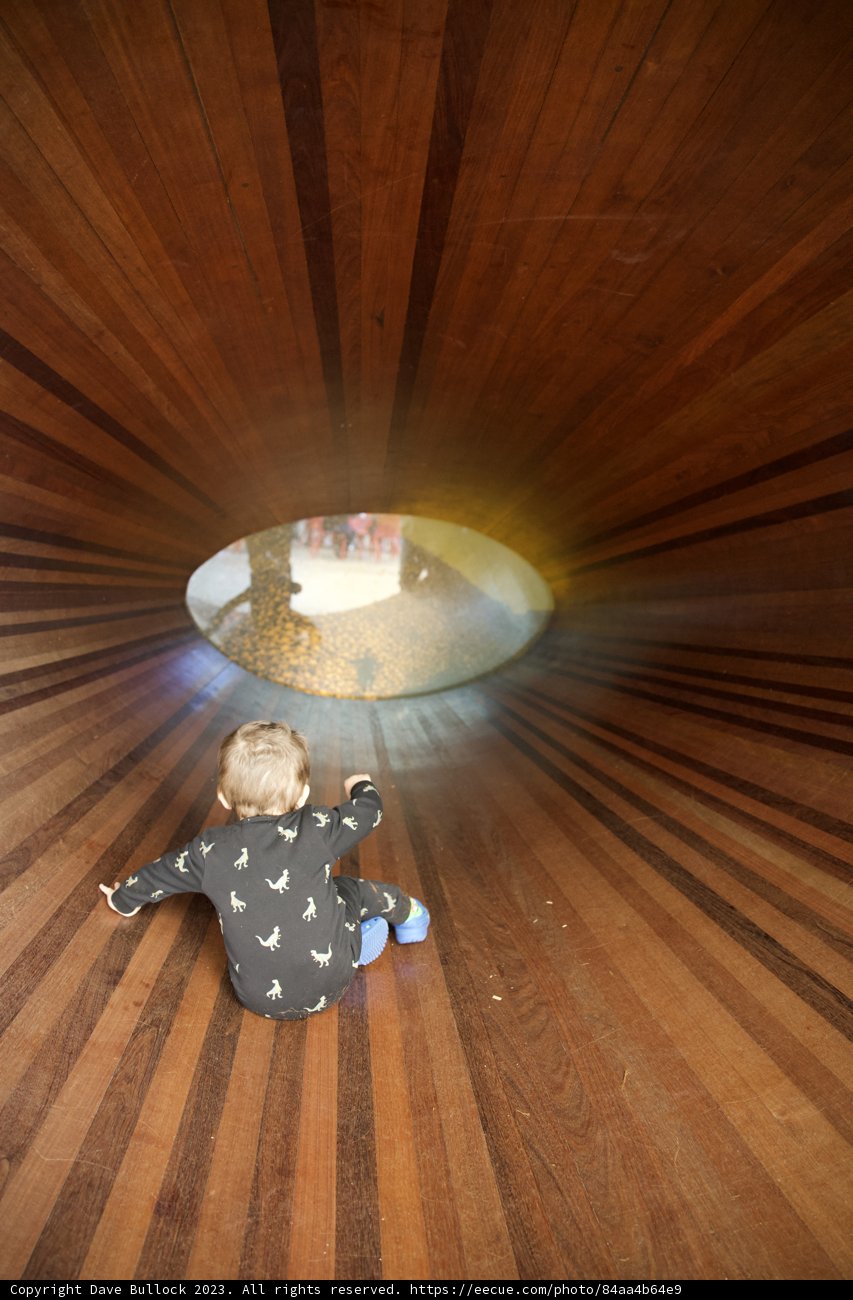 Exploring the Wooden Arcadia