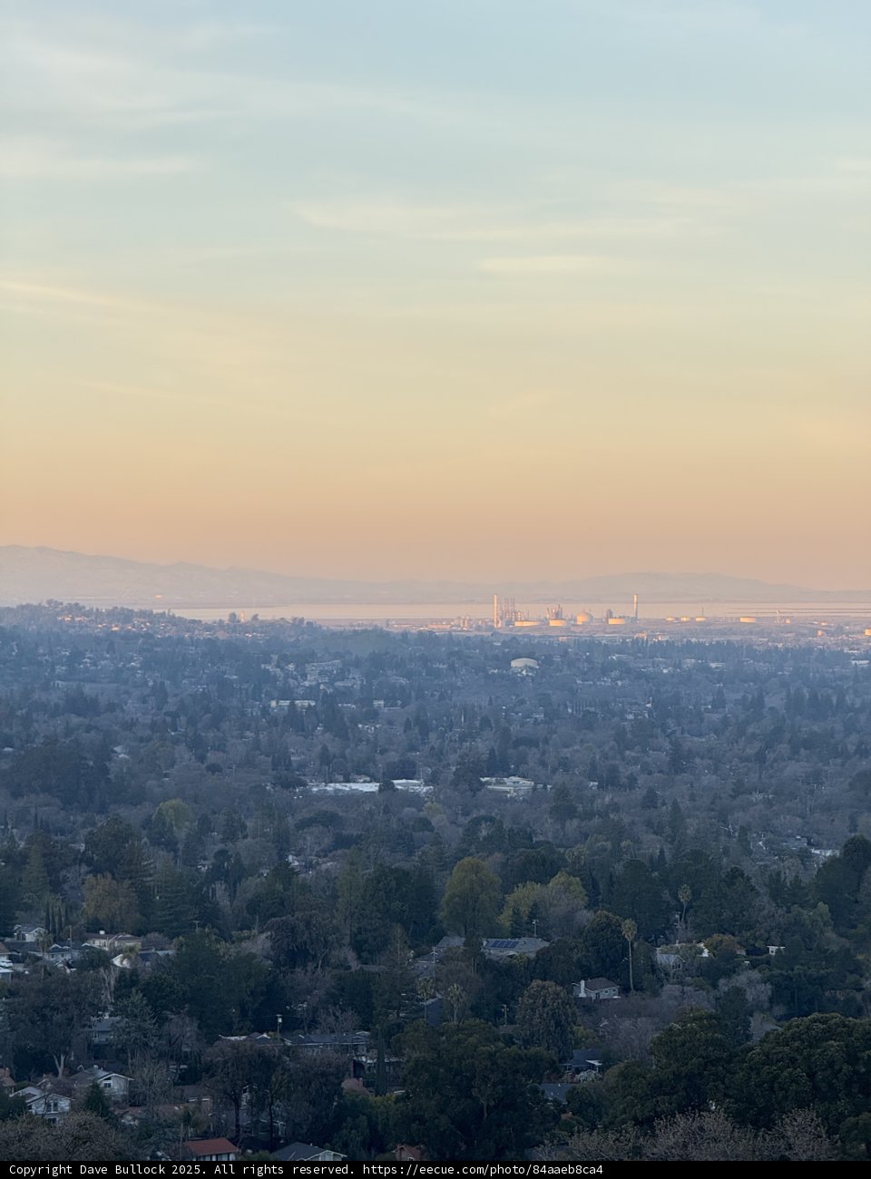 Golden Hour in Walnut Creek