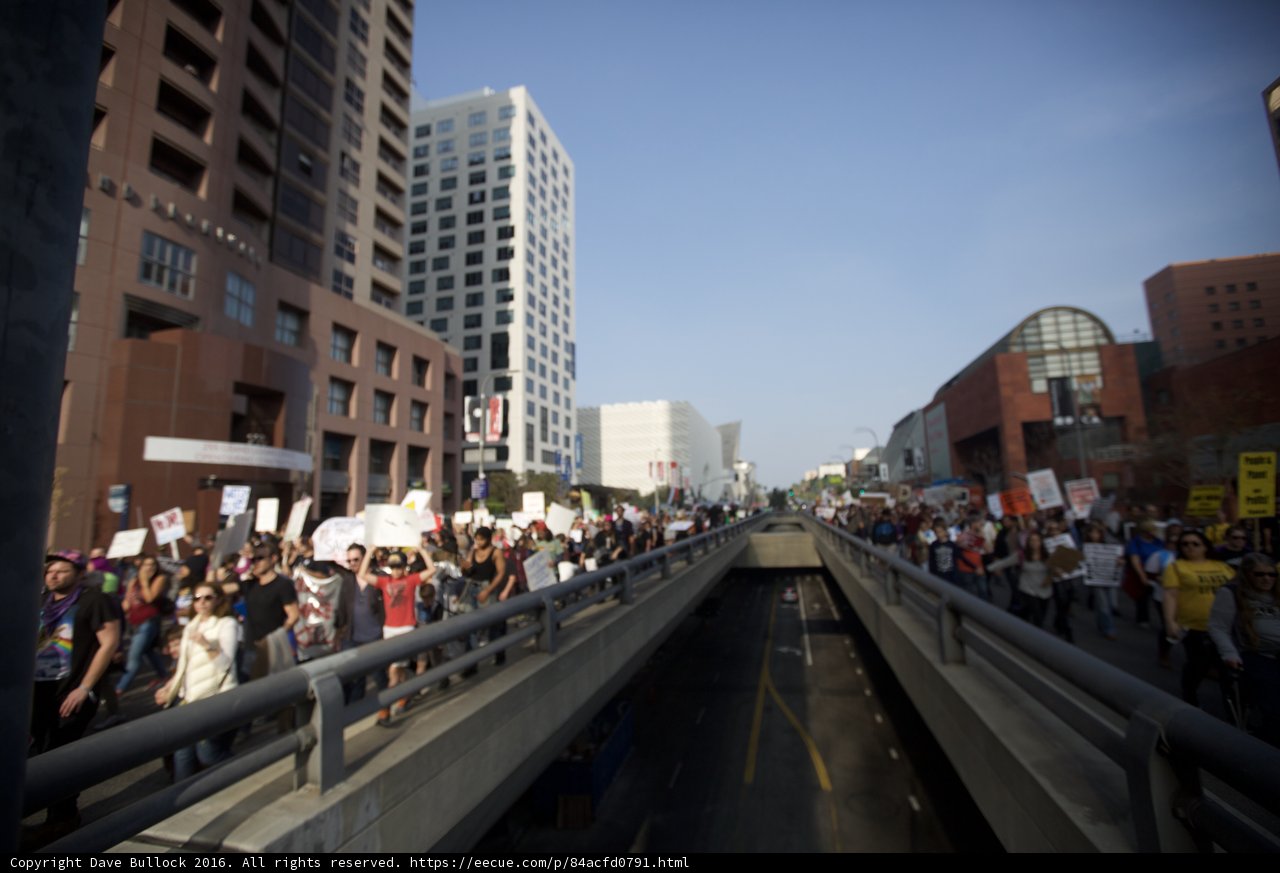 Metropolis Protest