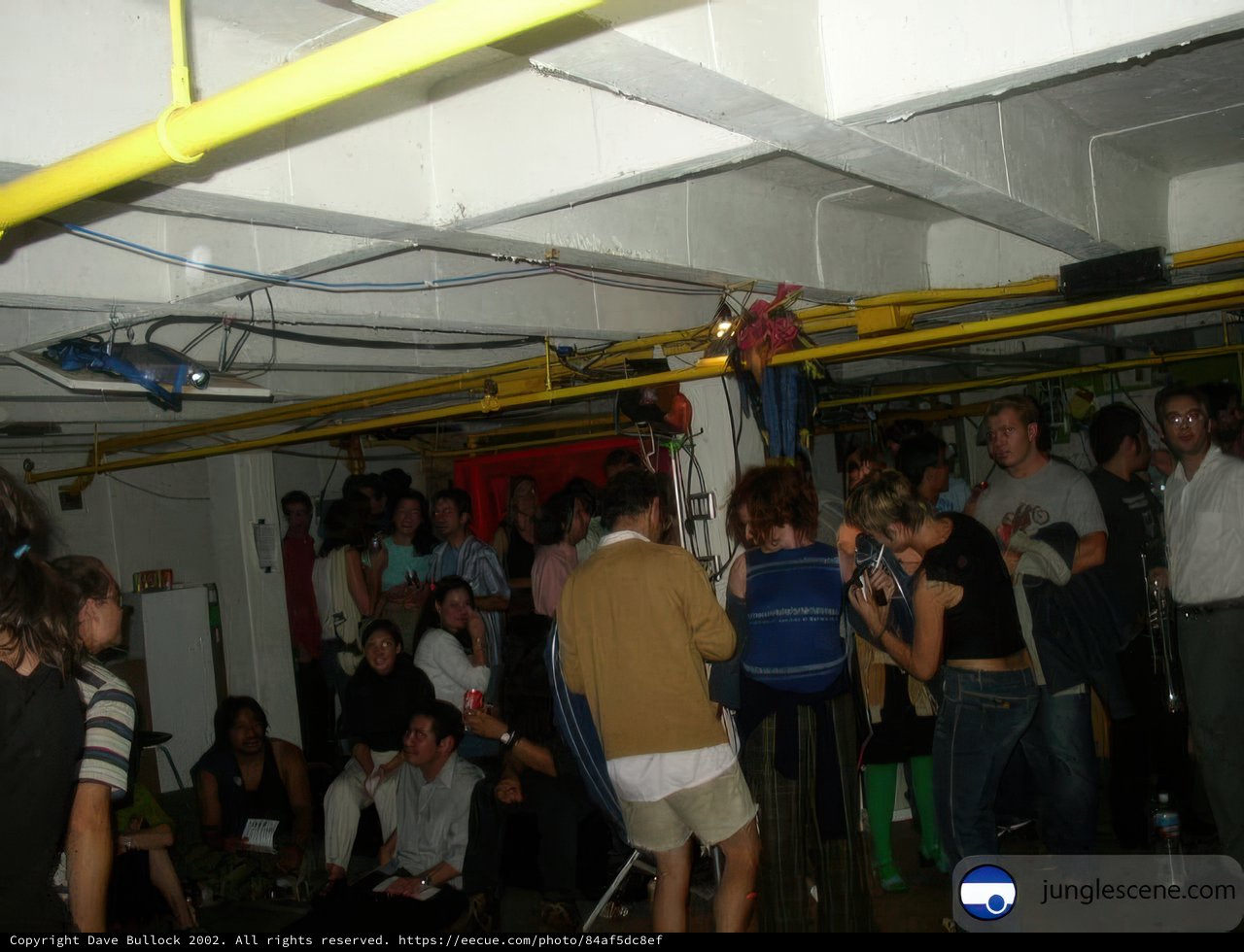 Yellow-Lit Crowd at the Cock Fight