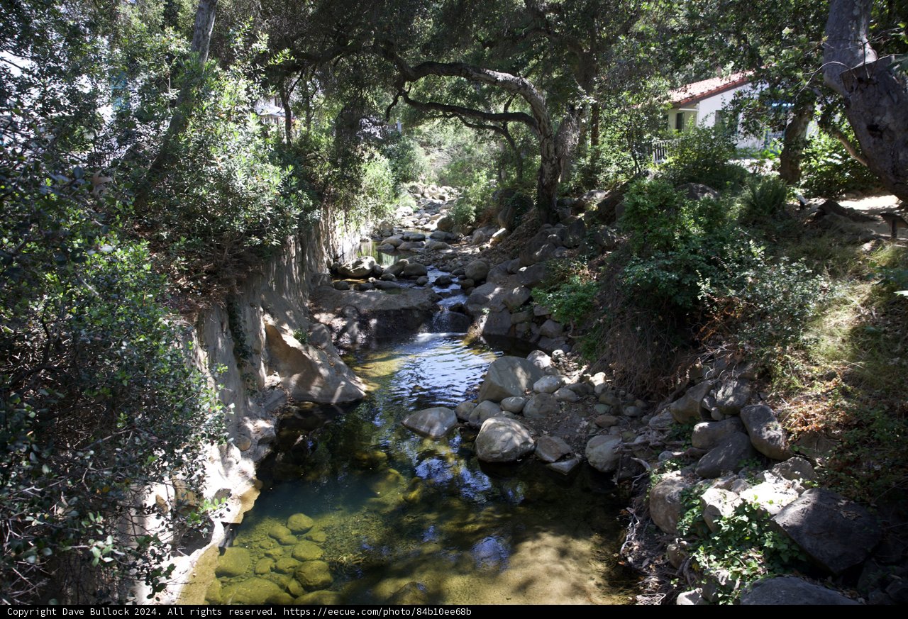 Creekside Serenity