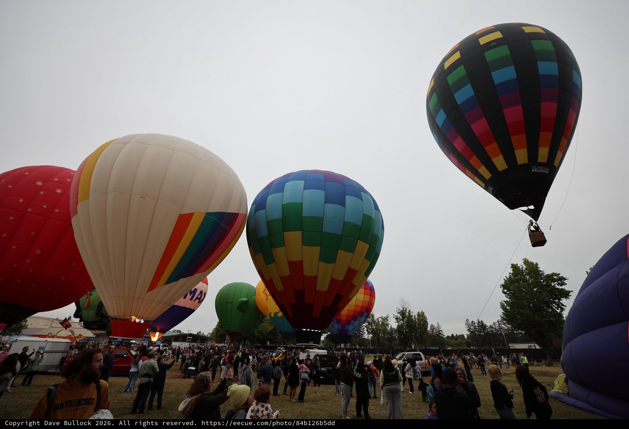 Colorful Hot Air Balloons Rise at Sonoma County Classic