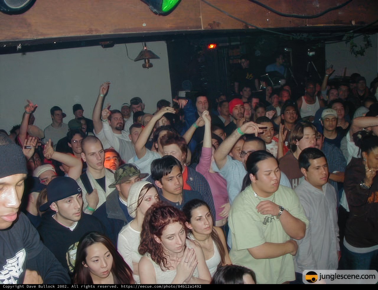 Nightclub Fun