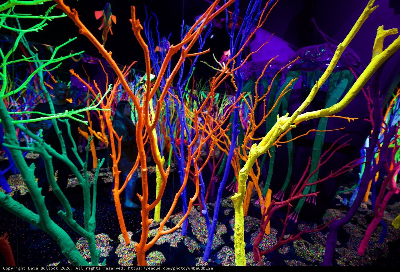 Neon Forest: Fluorescent Branch Installation in Darkened Gallery