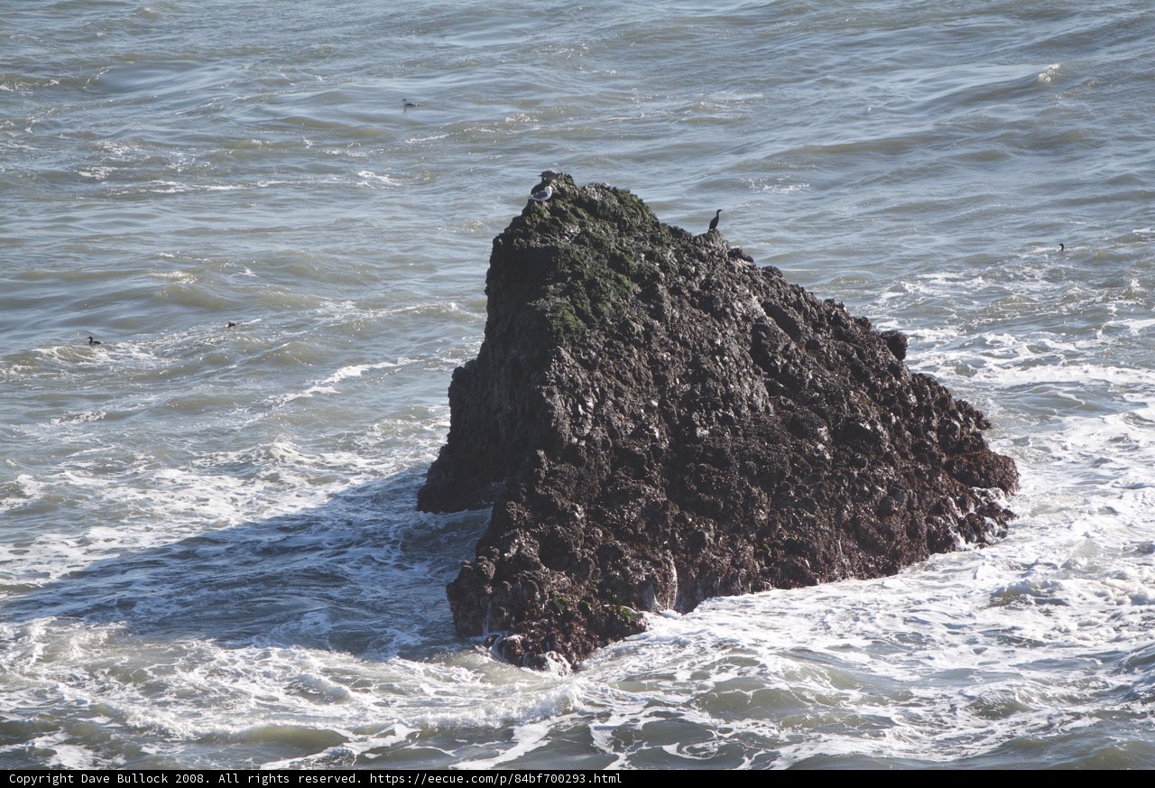 Lone Rock in the Sea