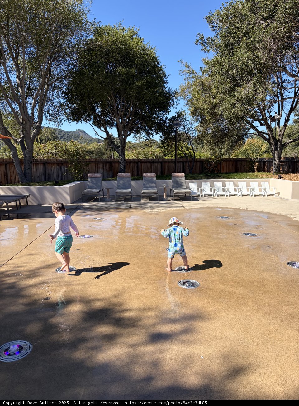 Splashes of Joy