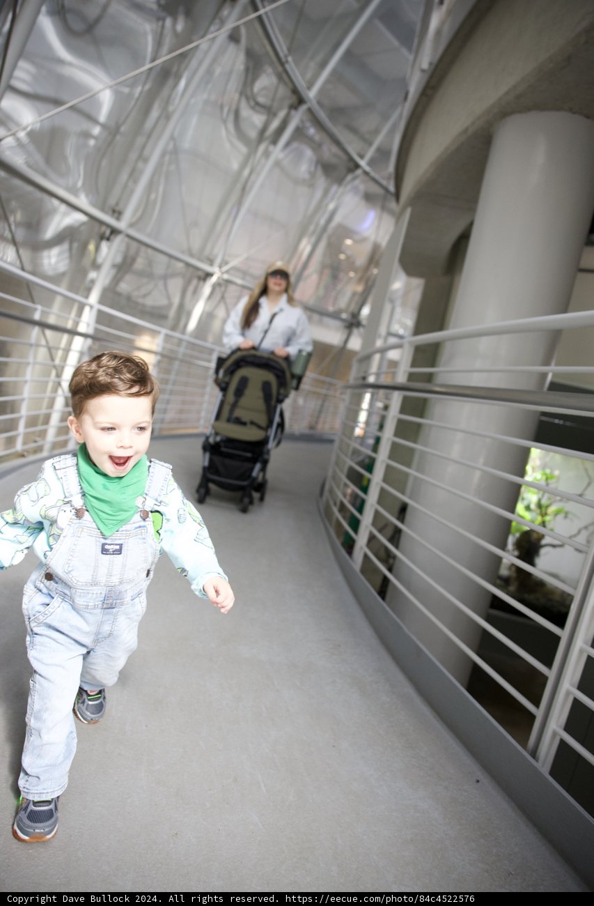Exploration Day at the California Academy of Sciences