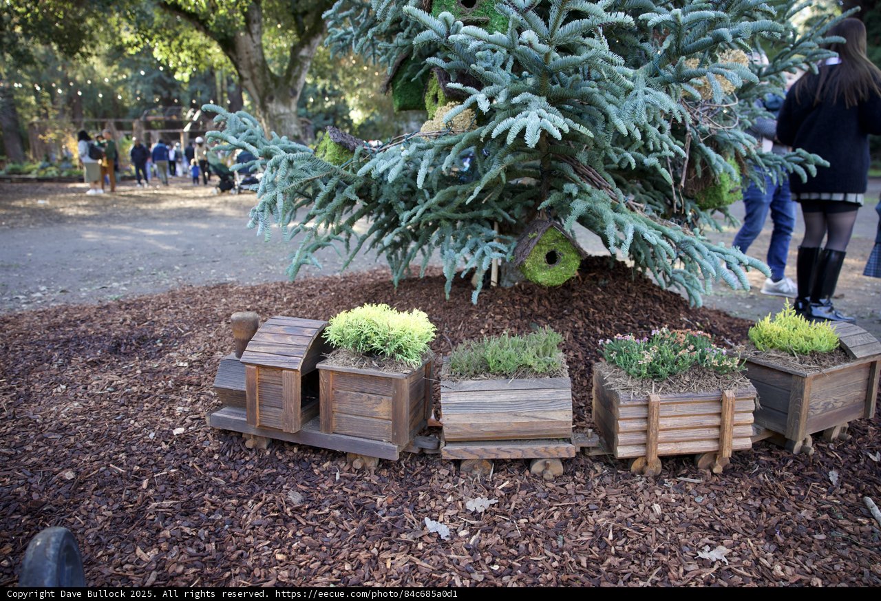 Whimsical Garden Train