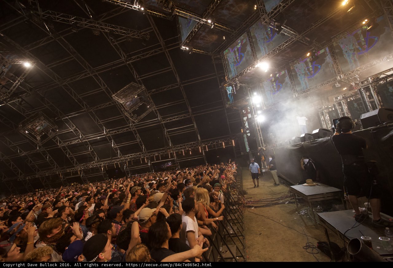 Rocking the Crowd at Coachella