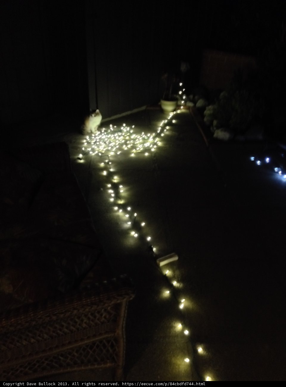 Illuminated Patio
