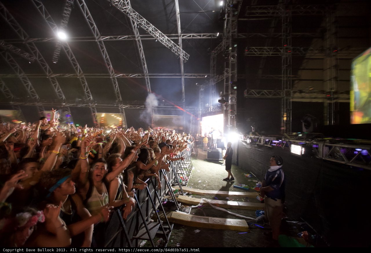Electric Crowd at Coachella