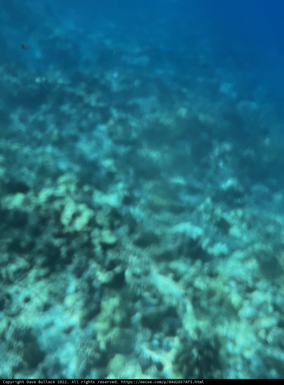 Serenity at Alalakeiki Channel