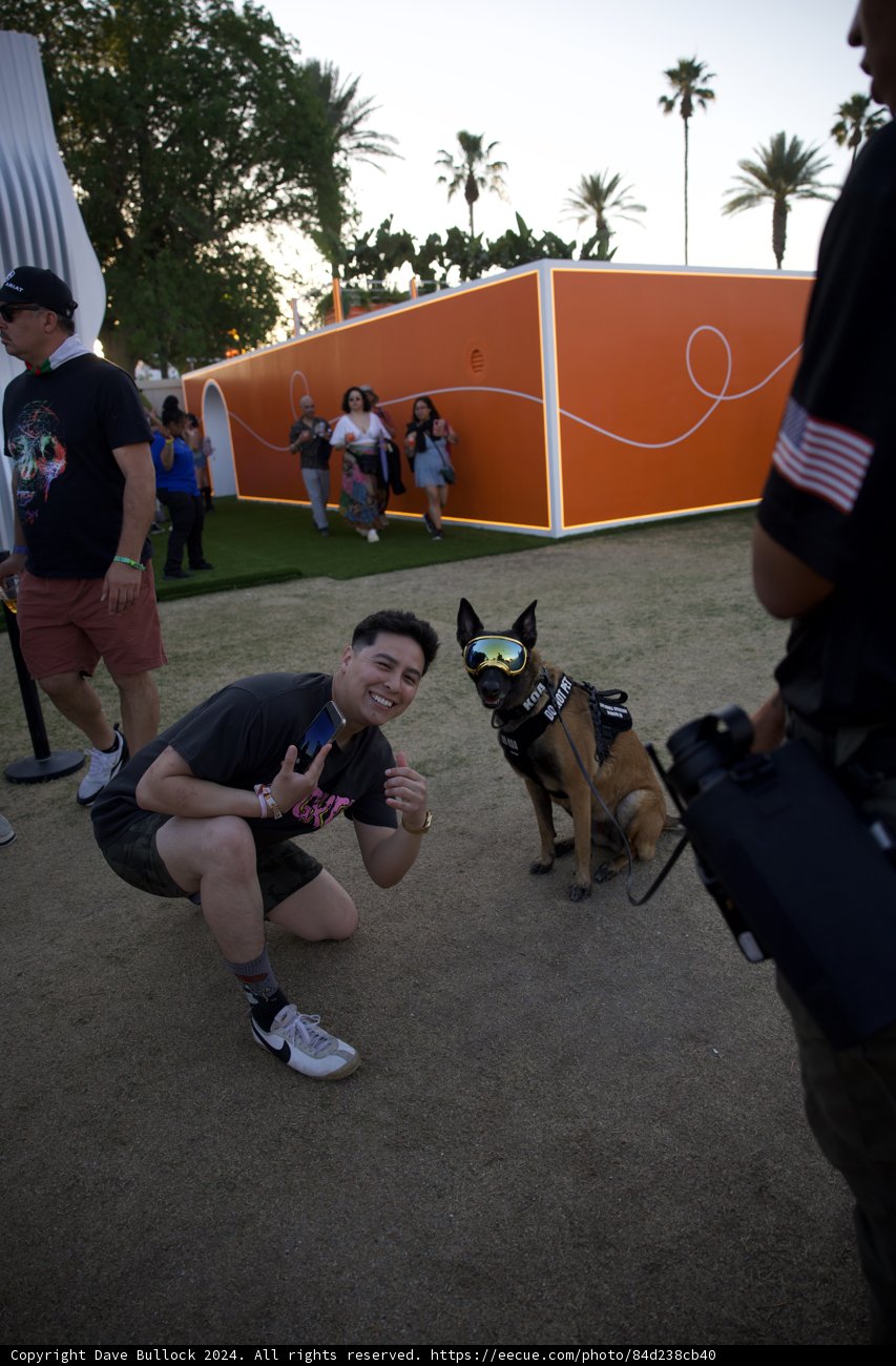 A Cool Encounter at Coachella 2024