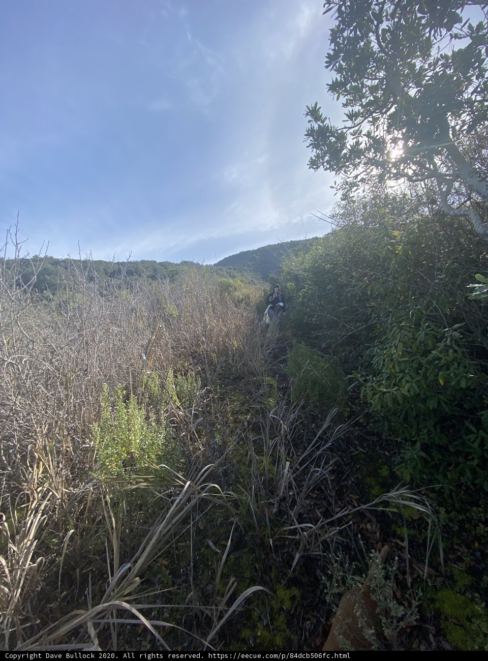 Walking Through the California Wilderness