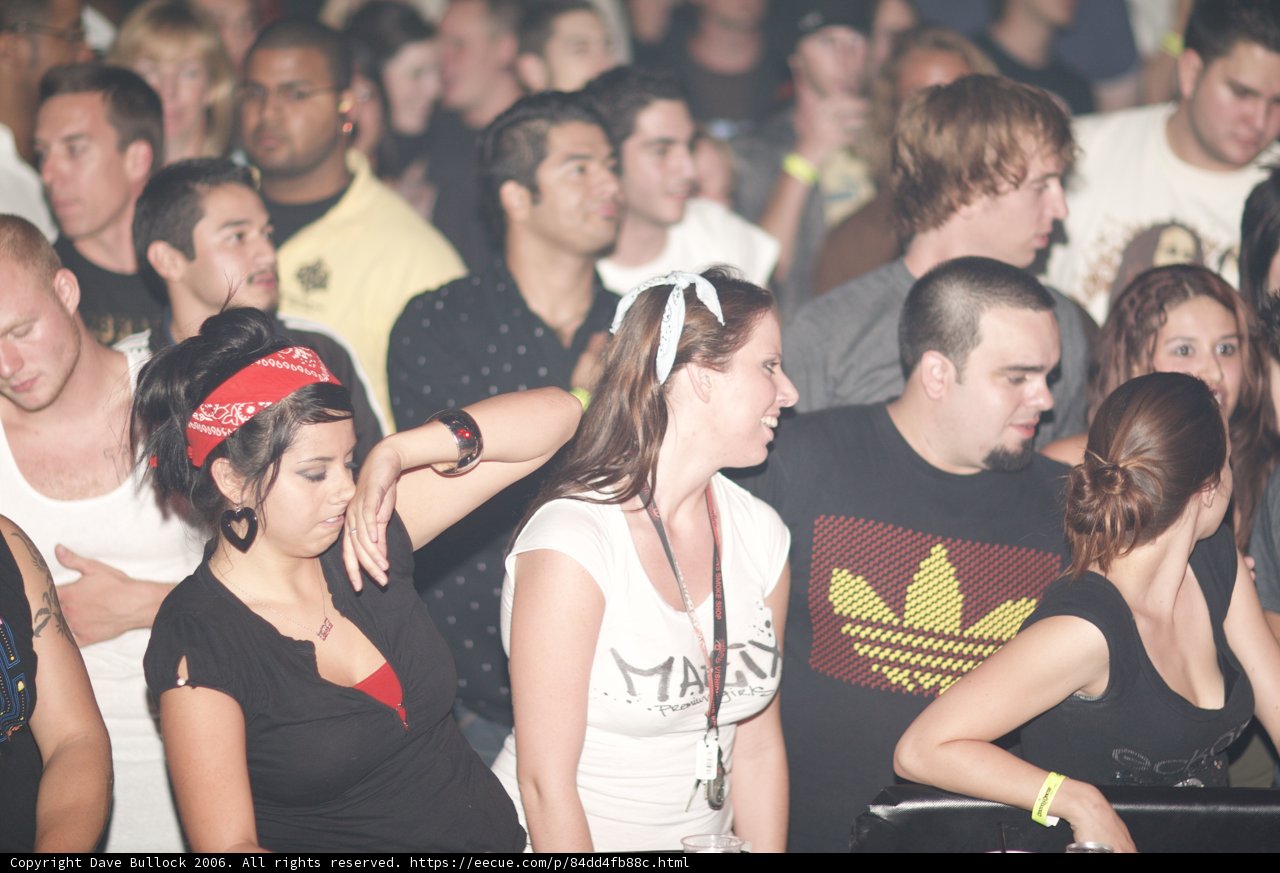 Nightlife Enthusiasts Celebrate at Urban Club