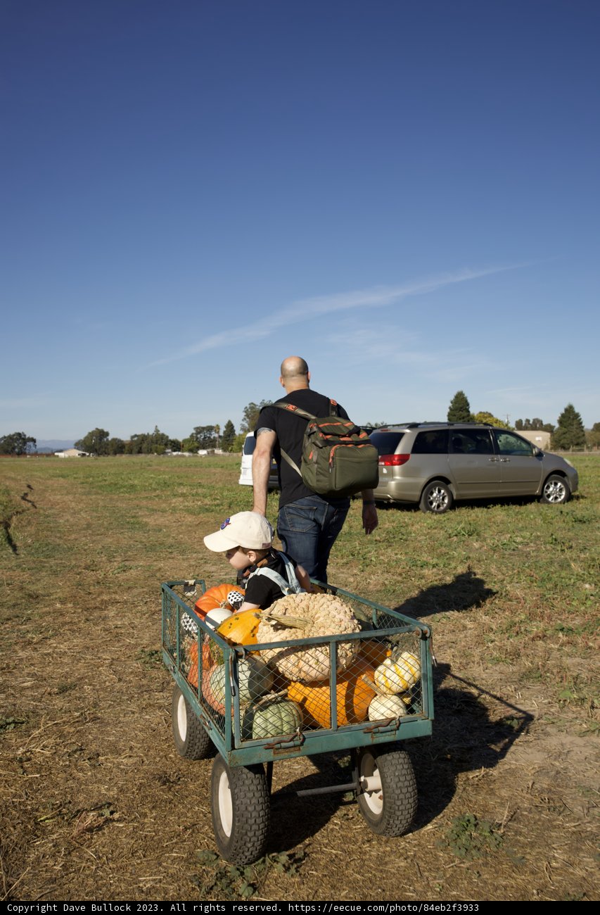 Harvesting Joy: An Autumn Day at the Pumpkin Patch