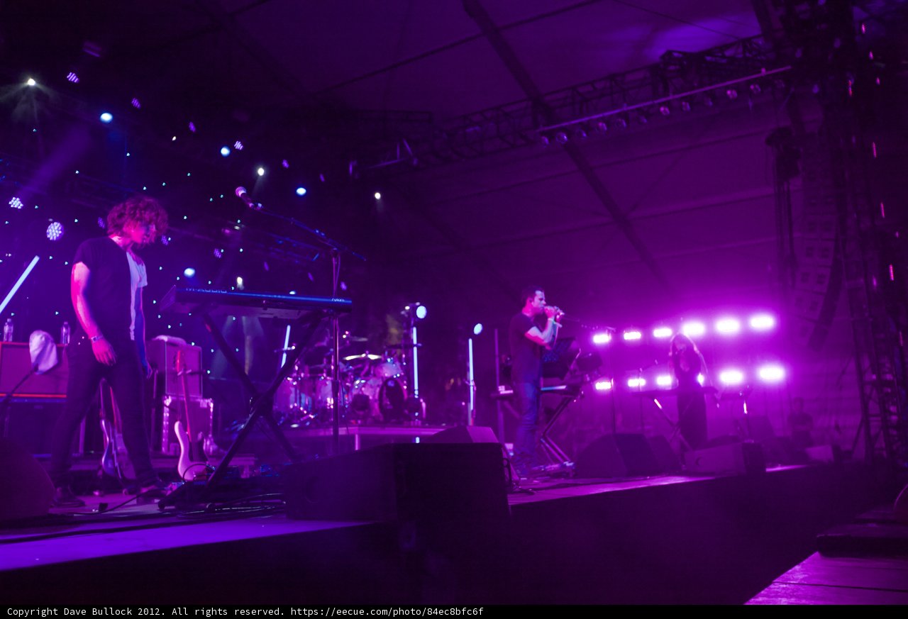 Purple Haze
