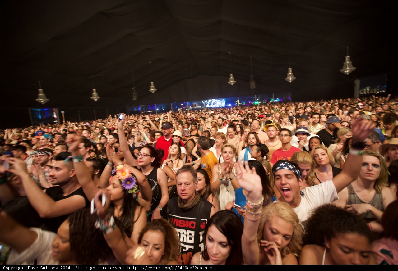 Festival Frenzy