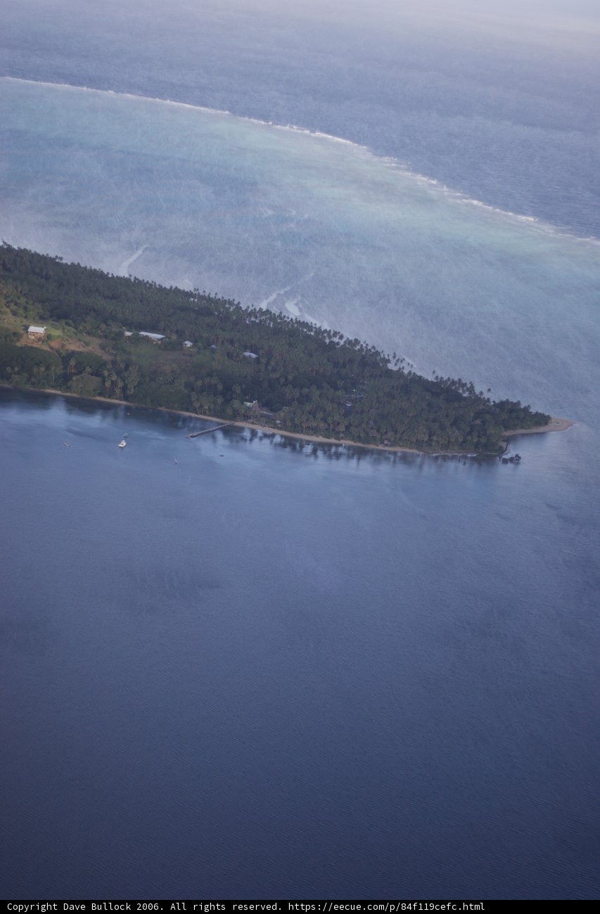 Island Oasis
