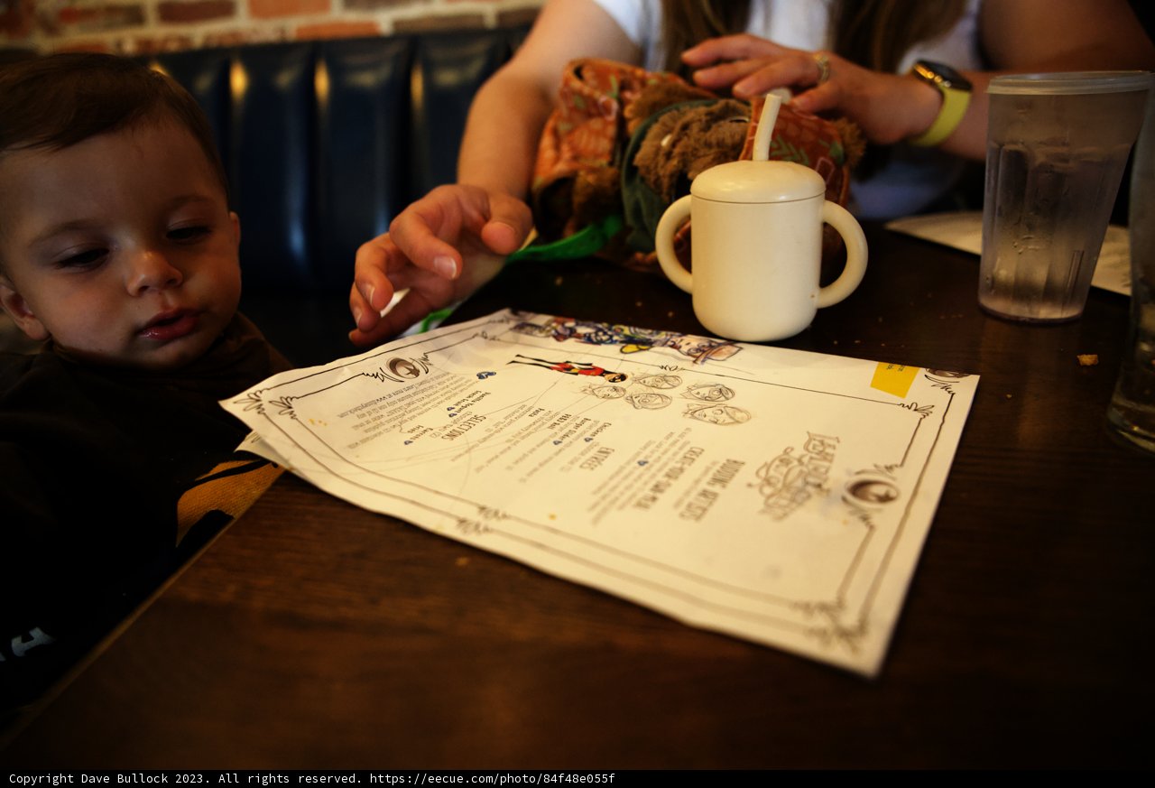 Little Food Critic at Disneyland