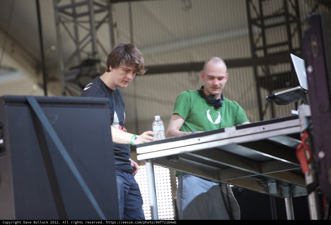 Music Festival Buddies
