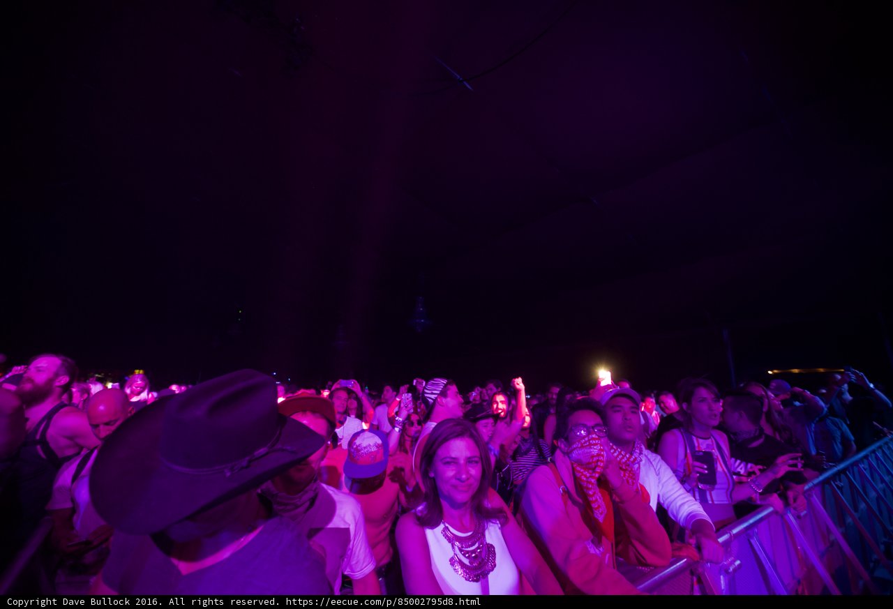 Purple Haze at Coachella 2016