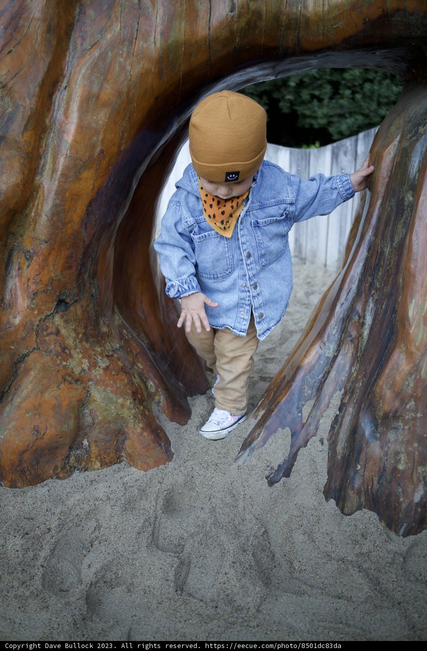 Adventure in the Making