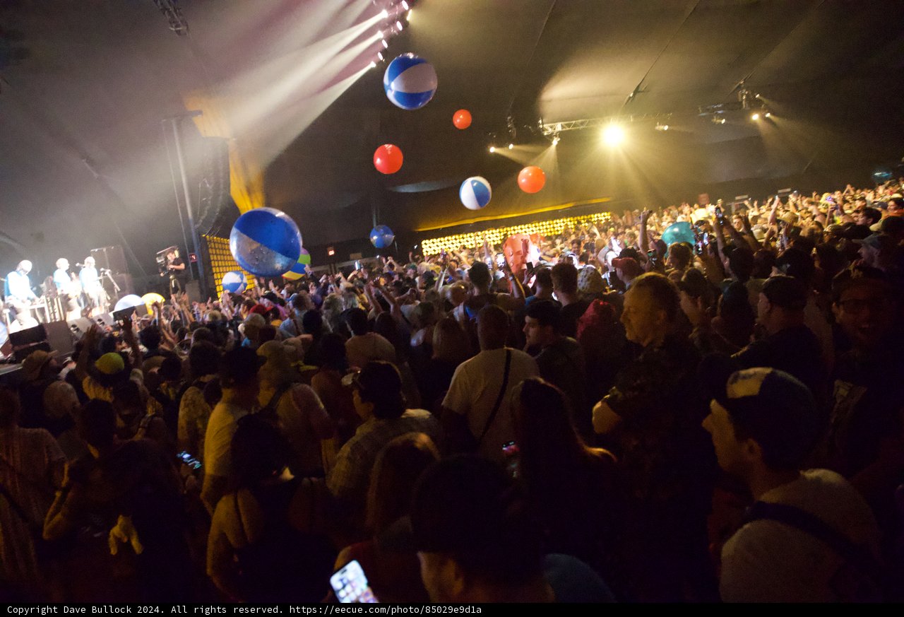 Electric Vibes at Coachella 2024: Night of Revelry