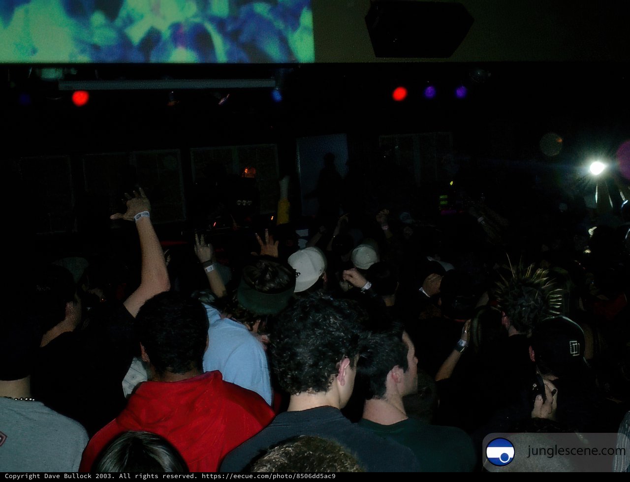 Nightclub Performance Fever