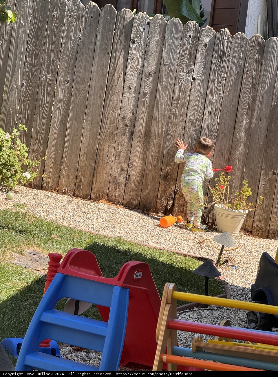 Summer Adventures in the Backyard