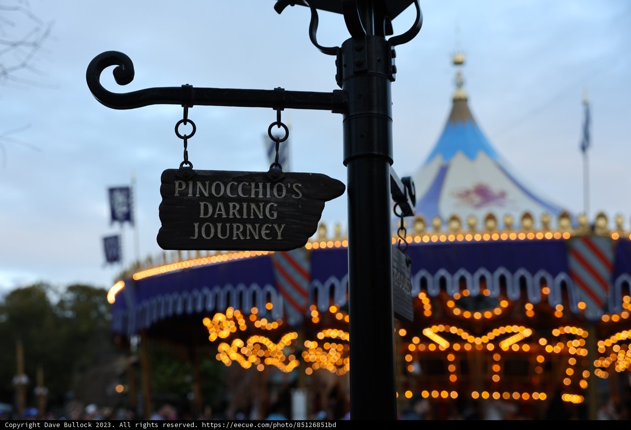The Prince's Daring Journey Sign