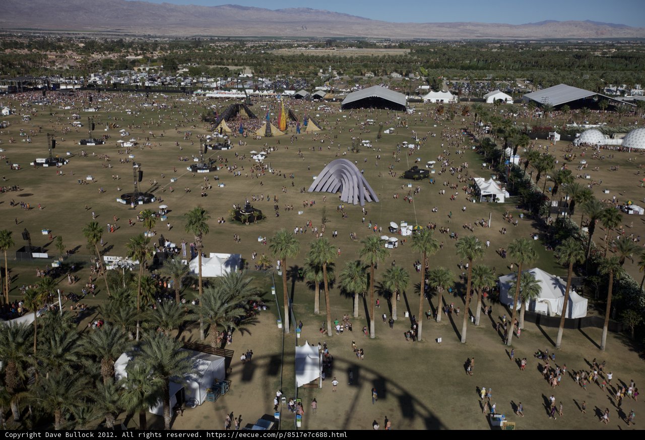 Festival Rave in the Palm Oasis