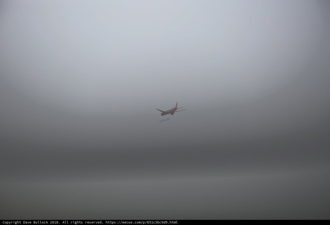 Above the Mist