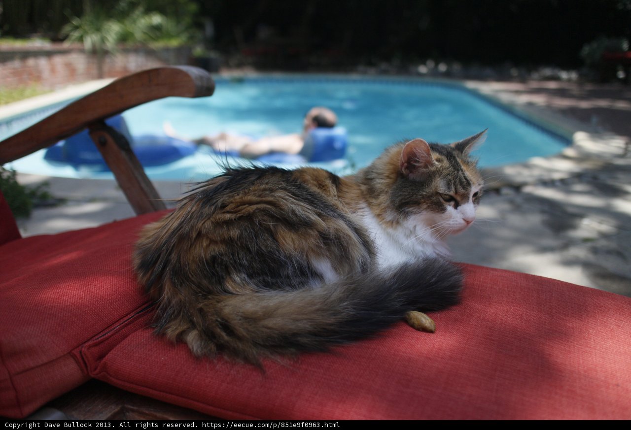 Relaxing by the Pool