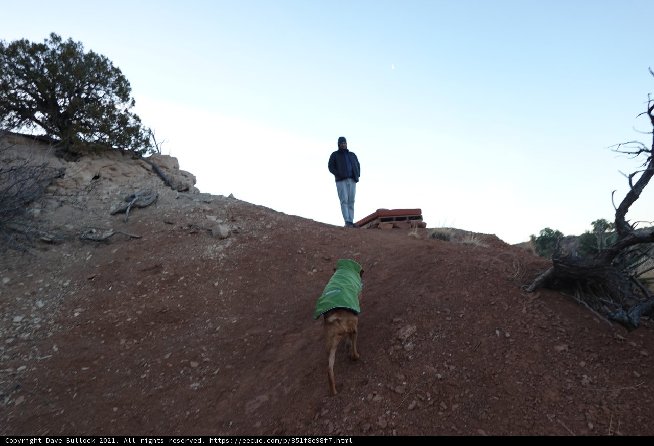 Man and his Canine Companion on a Scenic Hike