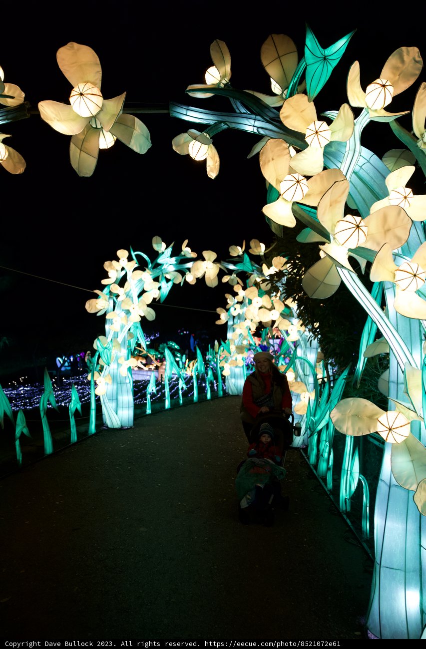 Glowfari Delights at Oakland Zoo, 2023