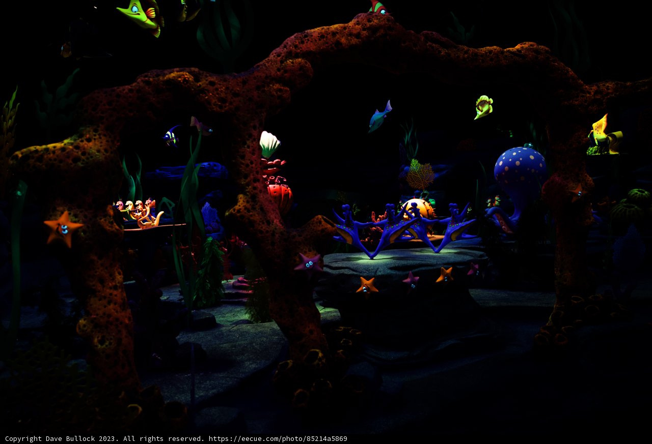 Magical Underwater Experience at Disneyland