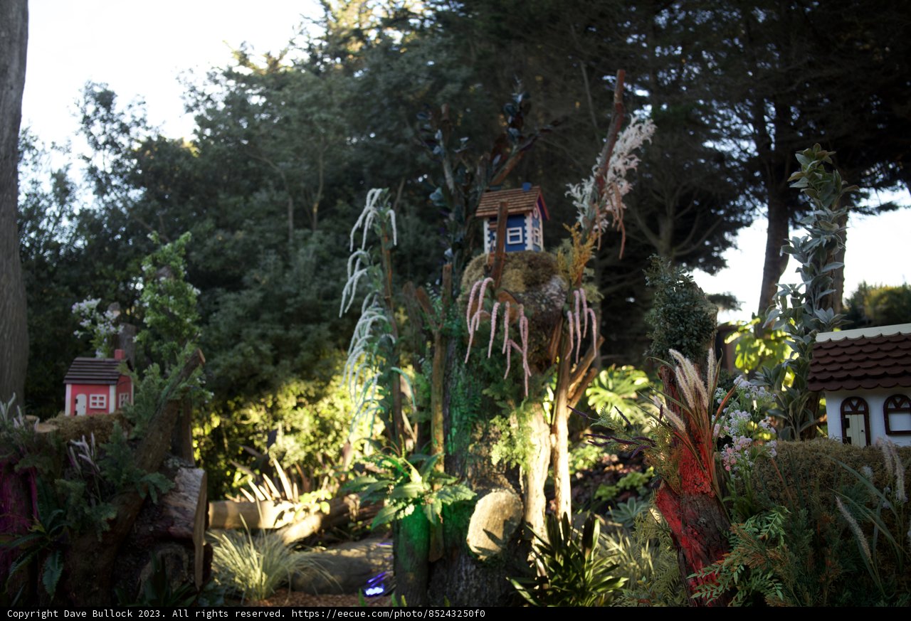 Rustic Retreat: A Tale of Paradise Amidst Greenery