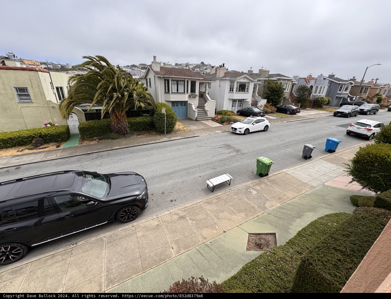 Suburban Serenity in San Francisco