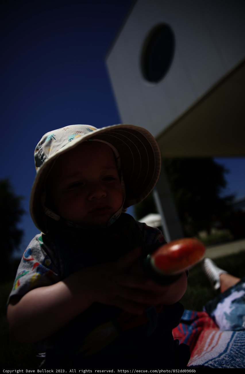 Baby's First Fruit Adventure
