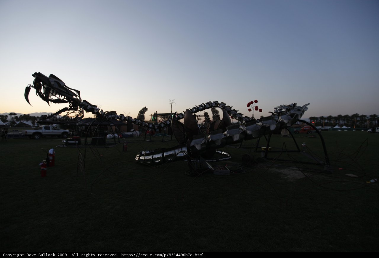 Dragon in the Field