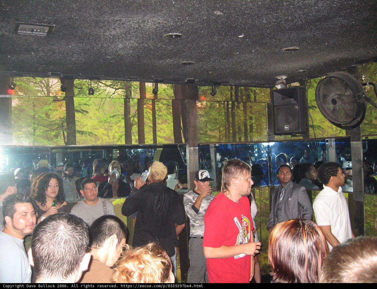 Nightclub Gathering