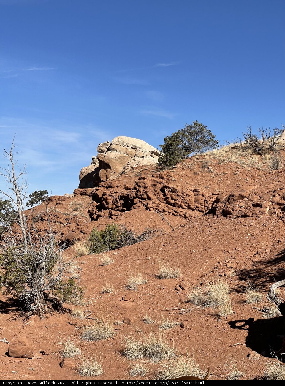 Red Rock and Lone Tree