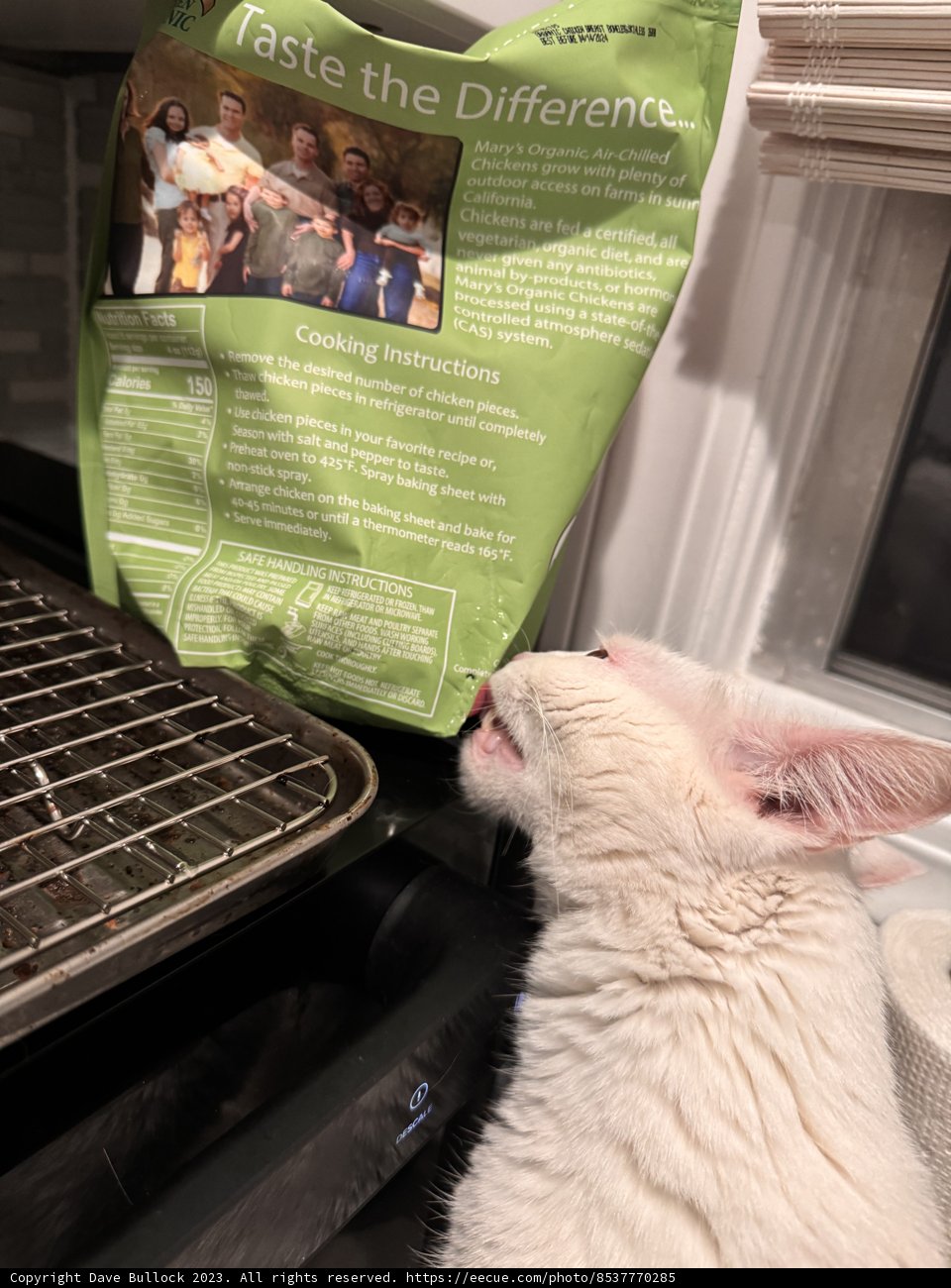 Unboxing Delight: A Furry Affair