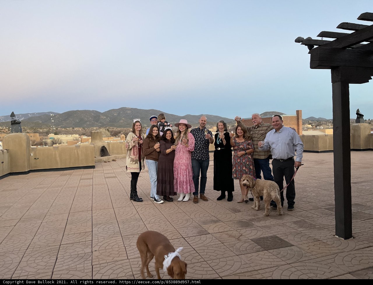 Rooftop Gathering with Furry Friends