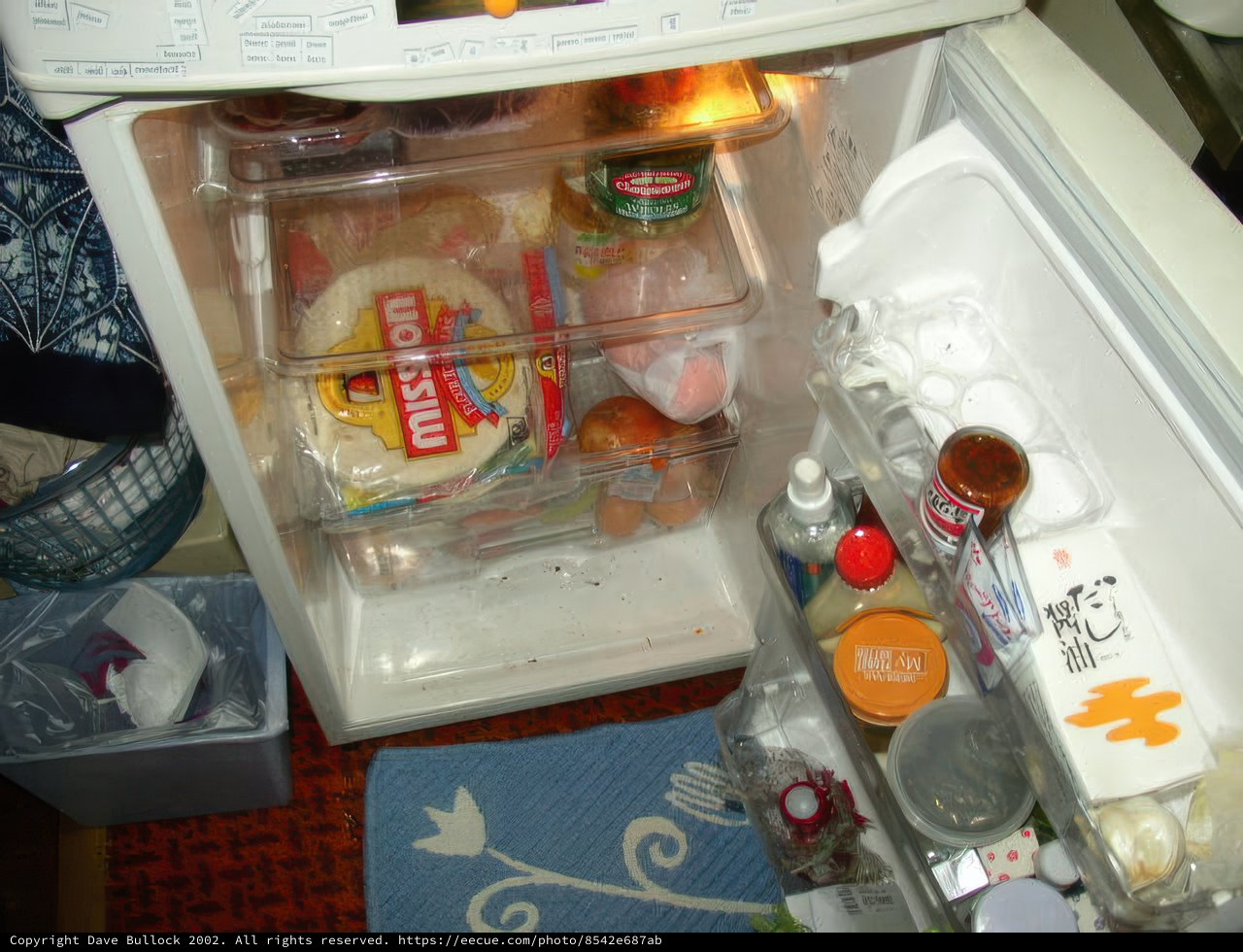 Stocked Fridge