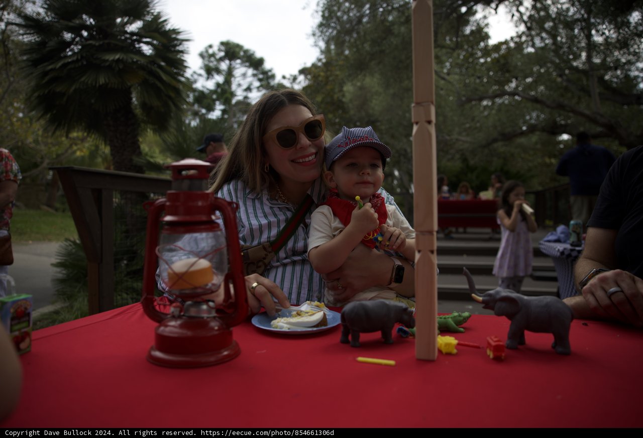 Wesley's Wild Safari Birthday Adventure